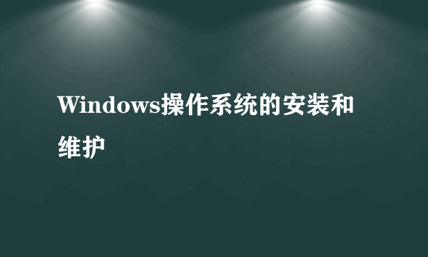 Windows操作系统的安装和维护