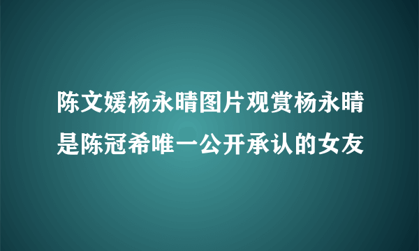 陈文媛杨永晴图片观赏杨永晴是陈冠希唯一公开承认的女友