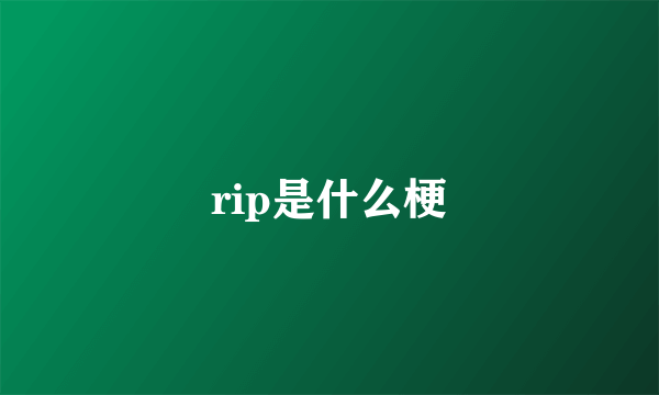 rip是什么梗