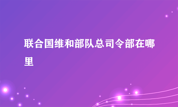 联合国维和部队总司令部在哪里