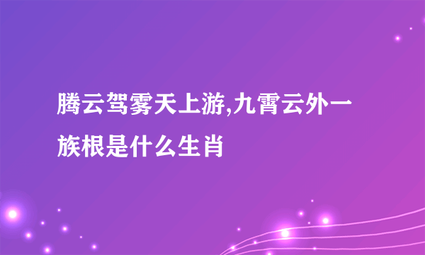 腾云驾雾天上游,九霄云外一族根是什么生肖