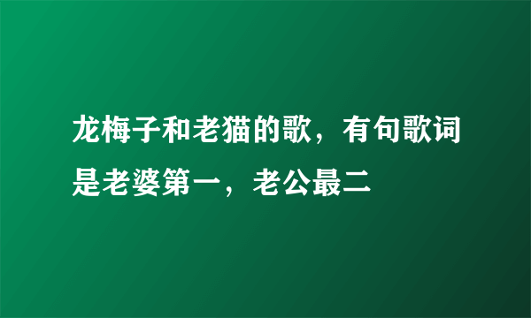 龙梅子和老猫的歌，有句歌词是老婆第一，老公最二