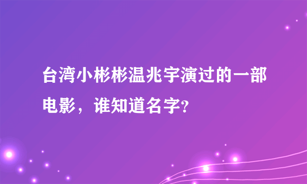 台湾小彬彬温兆宇演过的一部电影，谁知道名字？