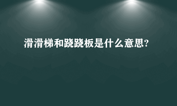 滑滑梯和跷跷板是什么意思?