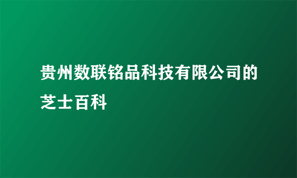 贵州数联铭品科技有限公司的芝士百科