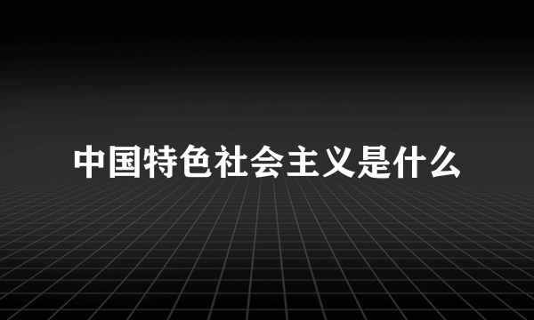 中国特色社会主义是什么