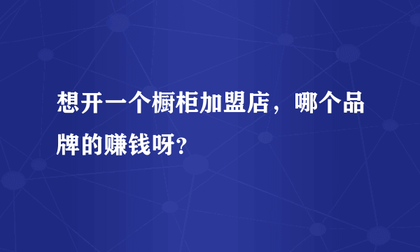 想开一个橱柜加盟店，哪个品牌的赚钱呀？