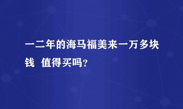 一二年的海马福美来一万多块钱  值得买吗？