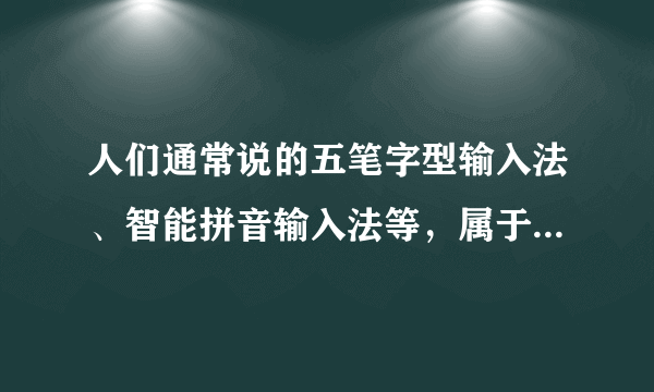 人们通常说的五笔字型输入法、智能拼音输入法等，属于汉字的（ ）？