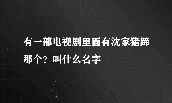 有一部电视剧里面有沈家猪蹄那个？叫什么名字