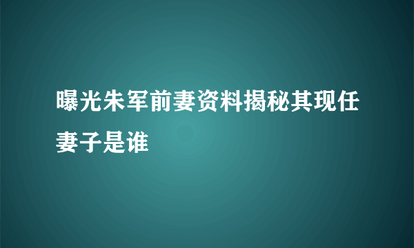 曝光朱军前妻资料揭秘其现任妻子是谁