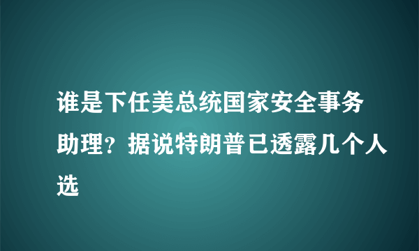 谁是下任美总统国家安全事务助理？据说特朗普已透露几个人选