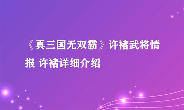 《真三国无双霸》许褚武将情报 许褚详细介绍