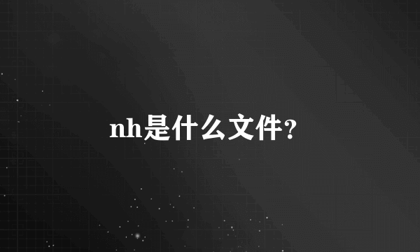 nh是什么文件？