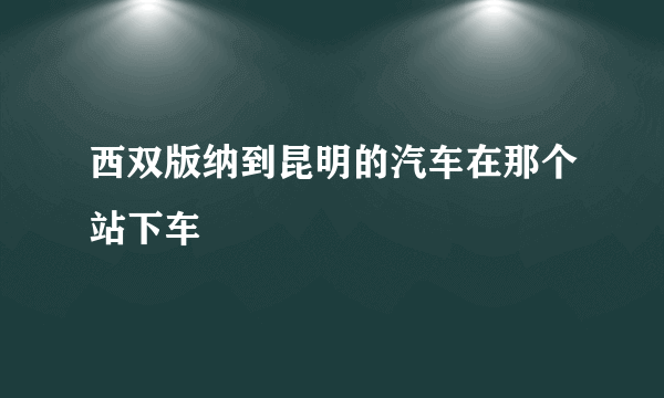 西双版纳到昆明的汽车在那个站下车