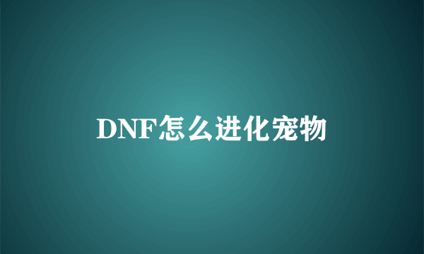 DNF怎么进化宠物