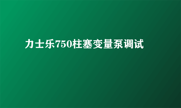 力士乐750柱塞变量泵调试