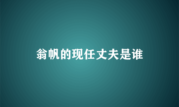 翁帆的现任丈夫是谁