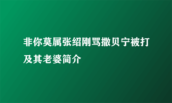 非你莫属张绍刚骂撒贝宁被打及其老婆简介