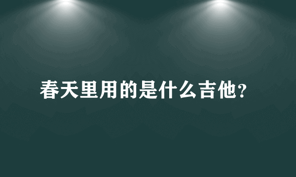 春天里用的是什么吉他？