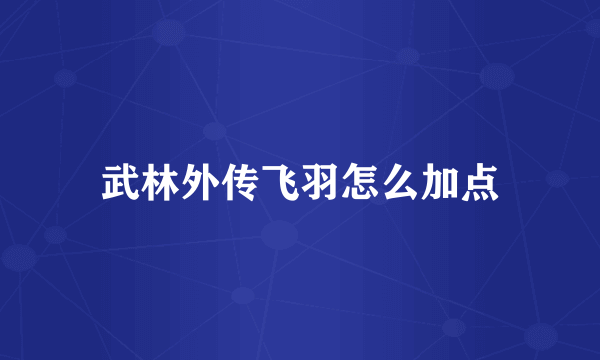 武林外传飞羽怎么加点