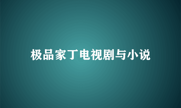 极品家丁电视剧与小说