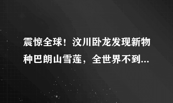 震惊全球！汶川卧龙发现新物种巴朗山雪莲，全世界不到500株！