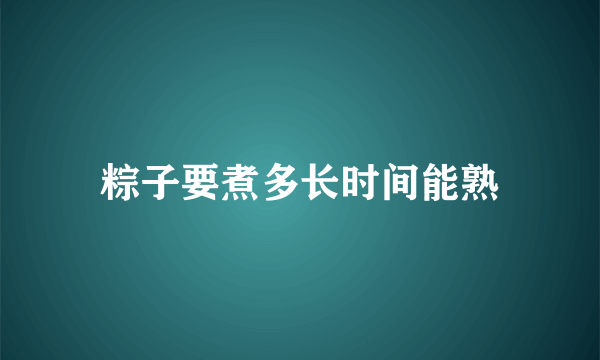 粽子要煮多长时间能熟