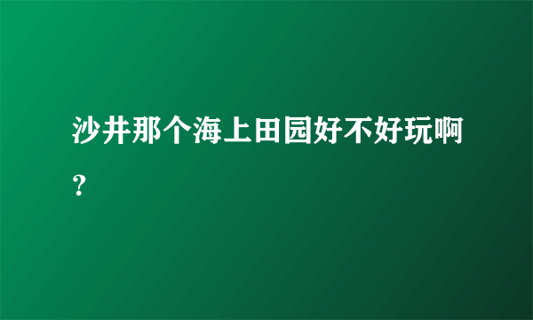 沙井那个海上田园好不好玩啊？