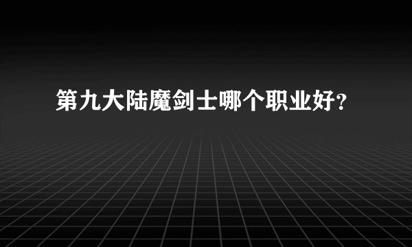 第九大陆魔剑士哪个职业好？