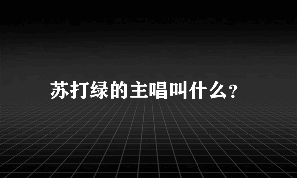 苏打绿的主唱叫什么？