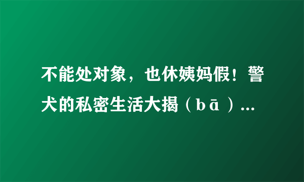 不能处对象，也休姨妈假！警犬的私密生活大揭（bā）秘（guà）！