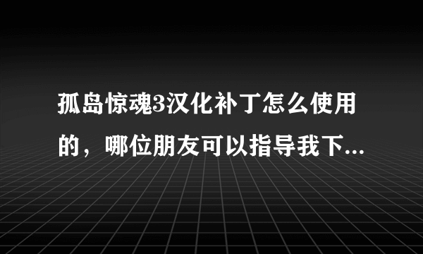 孤岛惊魂3汉化补丁怎么使用的，哪位朋友可以指导我下，有安装包也顺便给我一个，好人一生平安