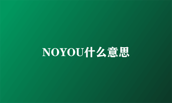 NOYOU什么意思