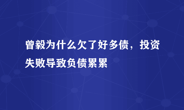 曾毅为什么欠了好多债，投资失败导致负债累累