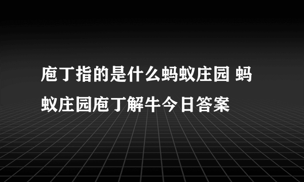 庖丁指的是什么蚂蚁庄园 蚂蚁庄园庖丁解牛今日答案