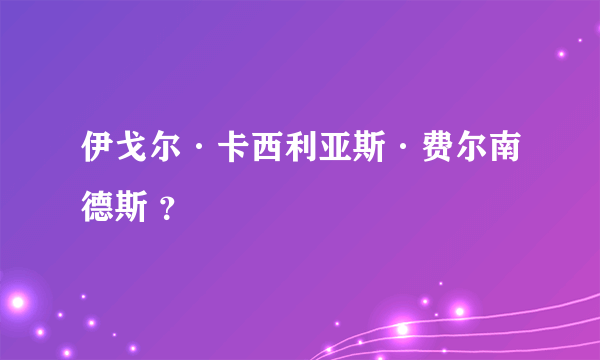 伊戈尔·卡西利亚斯·费尔南德斯 ？