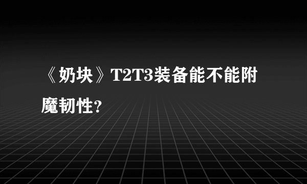 《奶块》T2T3装备能不能附魔韧性？