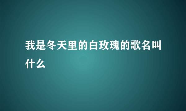 我是冬天里的白玫瑰的歌名叫什么