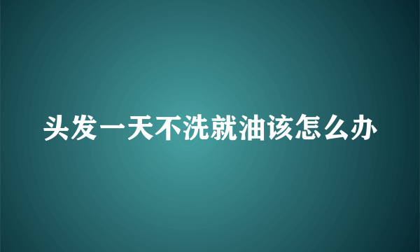 头发一天不洗就油该怎么办