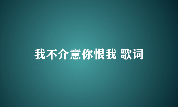 我不介意你恨我 歌词