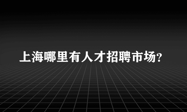 上海哪里有人才招聘市场？