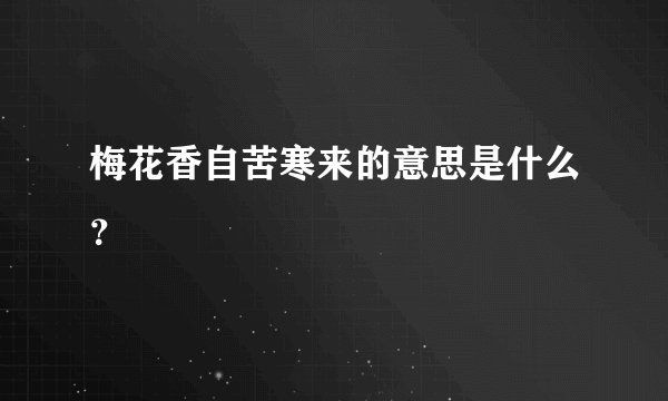 梅花香自苦寒来的意思是什么？