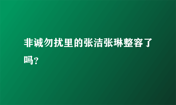 非诚勿扰里的张洁张琳整容了吗？