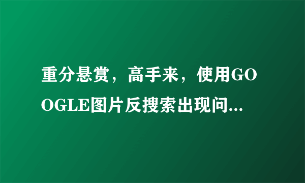 重分悬赏，高手来，使用GOOGLE图片反搜索出现问题，求解决