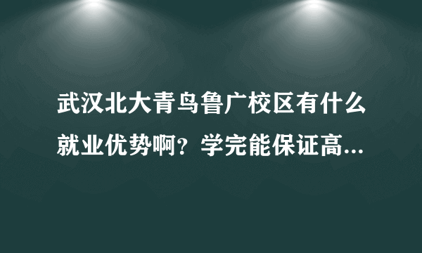 武汉北大青鸟鲁广校区有什么就业优势啊？学完能保证高薪就业么？