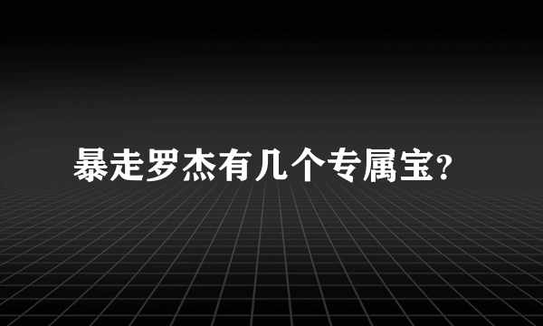 暴走罗杰有几个专属宝？