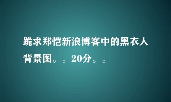 跪求郑恺新浪博客中的黑衣人背景图。。20分。。