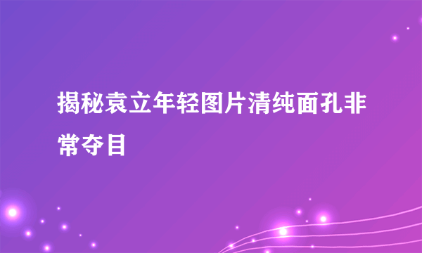 揭秘袁立年轻图片清纯面孔非常夺目