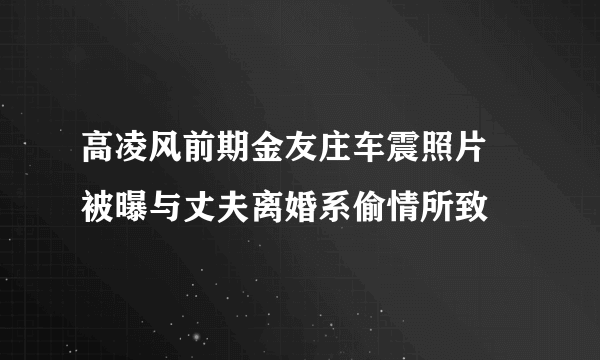 高凌风前期金友庄车震照片 被曝与丈夫离婚系偷情所致